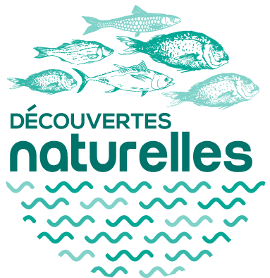 Logo Découvertes Naturelles